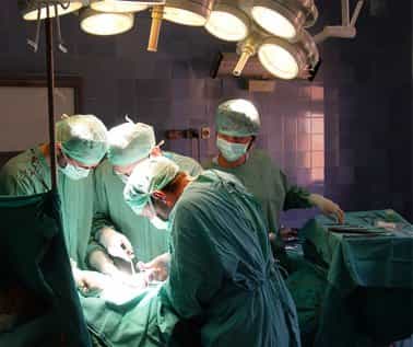Hair Transplant PlacidWay Hair Transplant PlacidWay